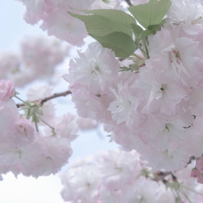 Furry插画光影技巧FurryQQ群